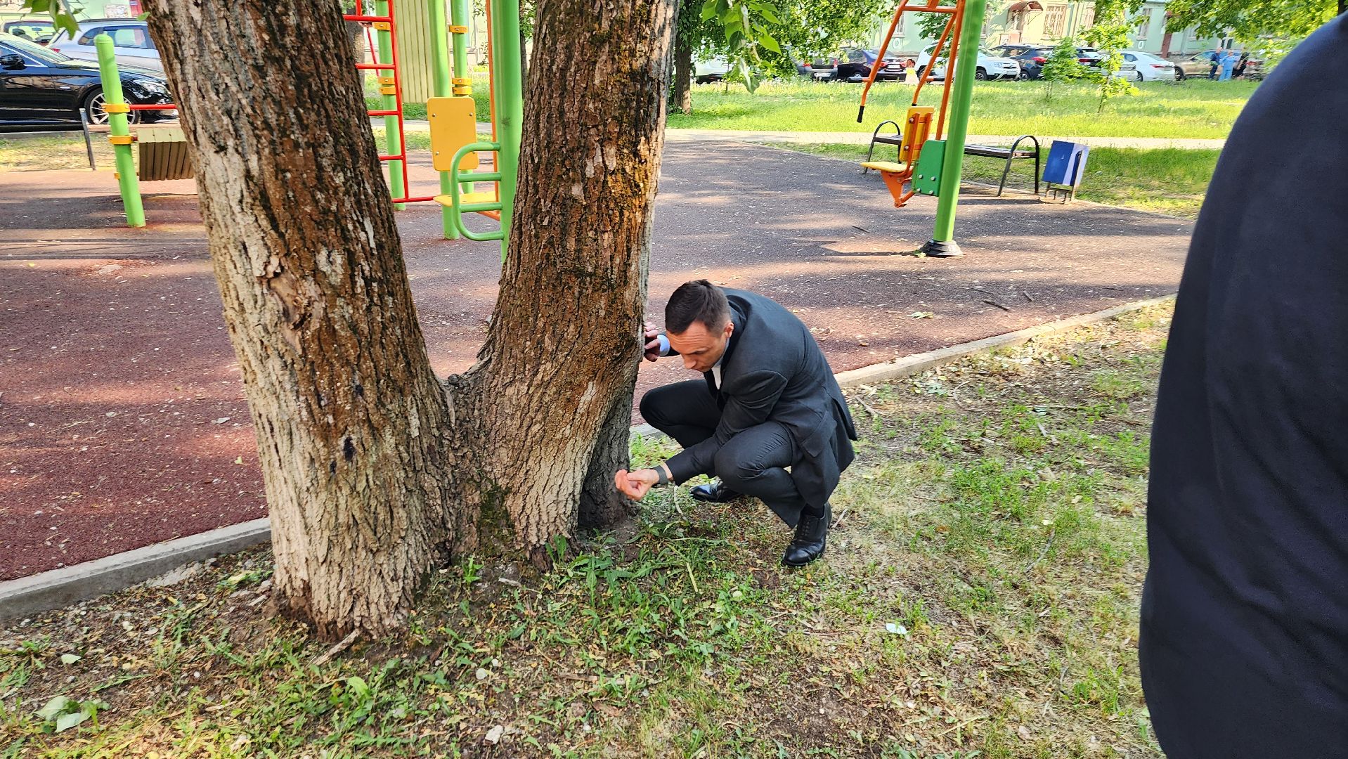 обходы, заместитель главы, Григорий Грибанов, ул Советская, кронирование, Старый город, ул Маяковского, ул Горького, ул Ломоносова,