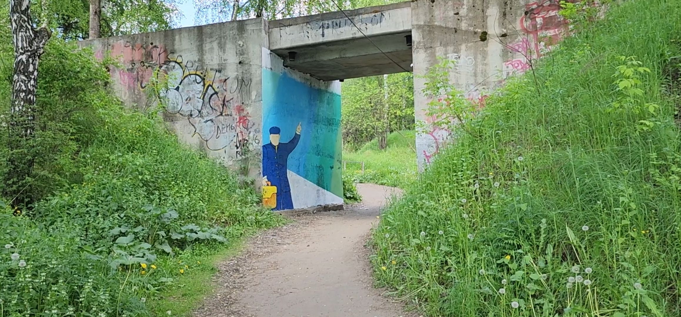 кашира, тесна, железная дорога, безопасность на жд, граффити, жд пути, жд переход,