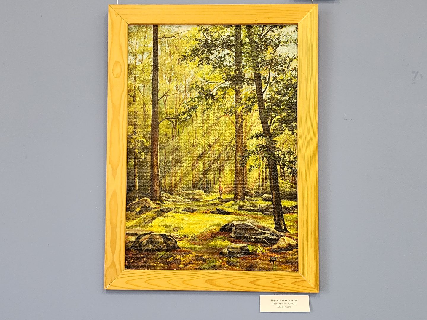 выставка, художница, искусство, Ногинск, Богородский городской округ,