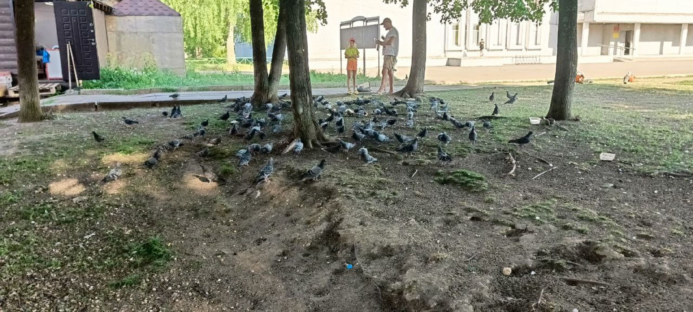 Дмитров, Выездная администрация,