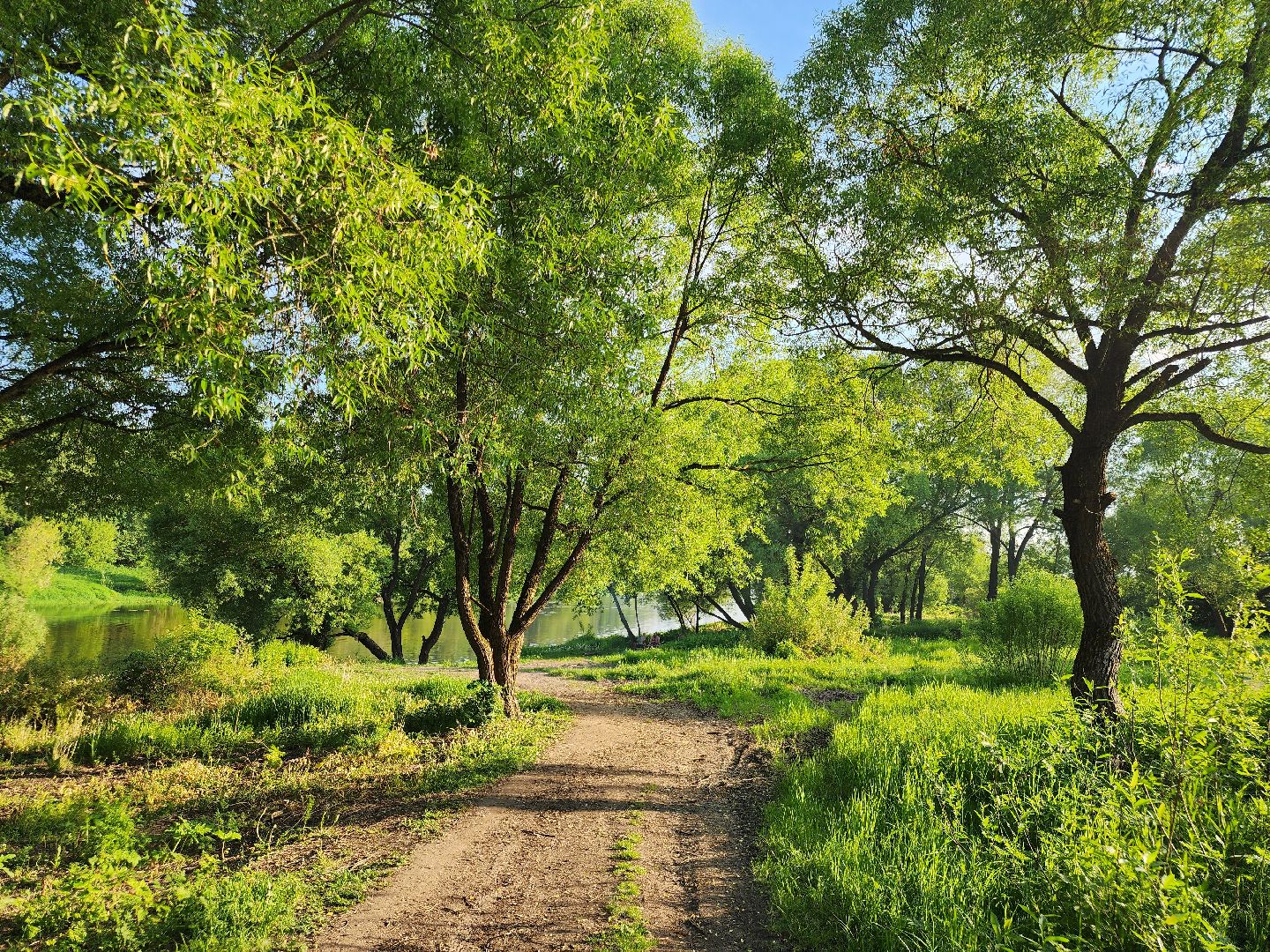 Звенигород, Благоустройство, Туризм,