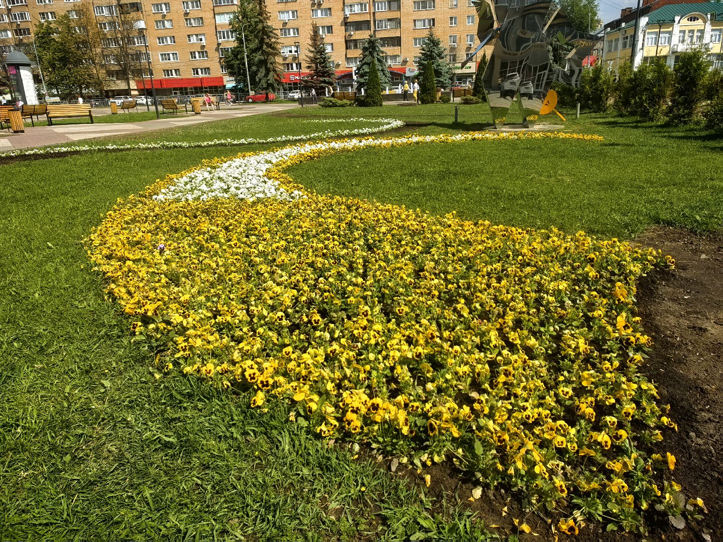 цветы Виола, посадка цветов, благоустровйство, озеленение, ландшафт,