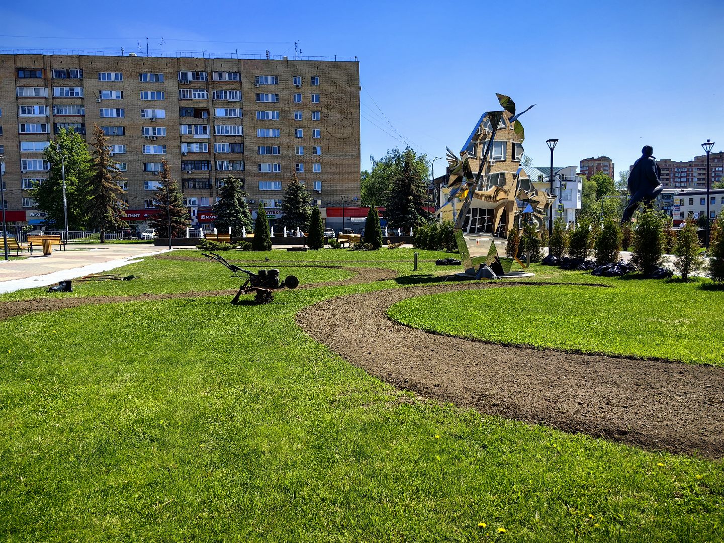 цветы Виола, посадка цветов, благоустровйство, озеленение, ландшафт,