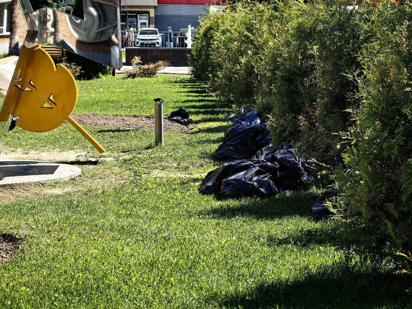 цветы Виола, посадка цветов, благоустровйство, озеленение, ландшафт,