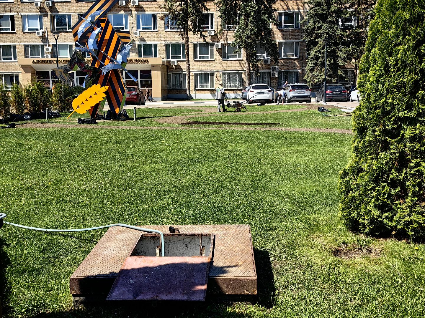 цветы Виола, посадка цветов, благоустровйство, озеленение, ландшафт,