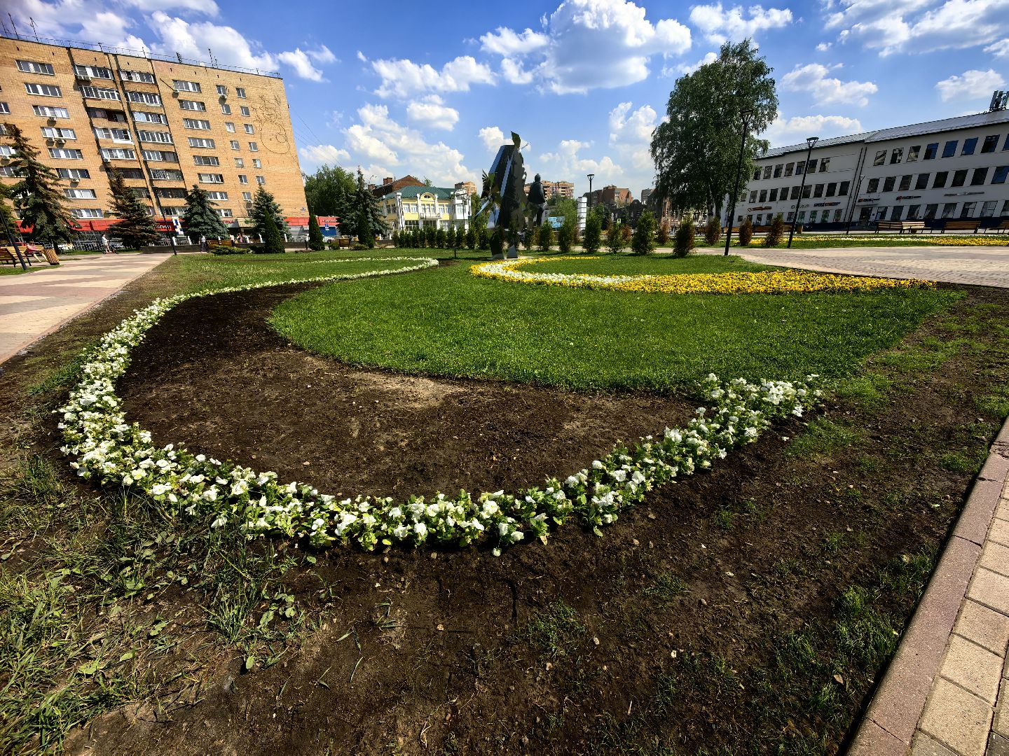 цветы Виола, посадка цветов, благоустровйство, озеленение, ландшафт,