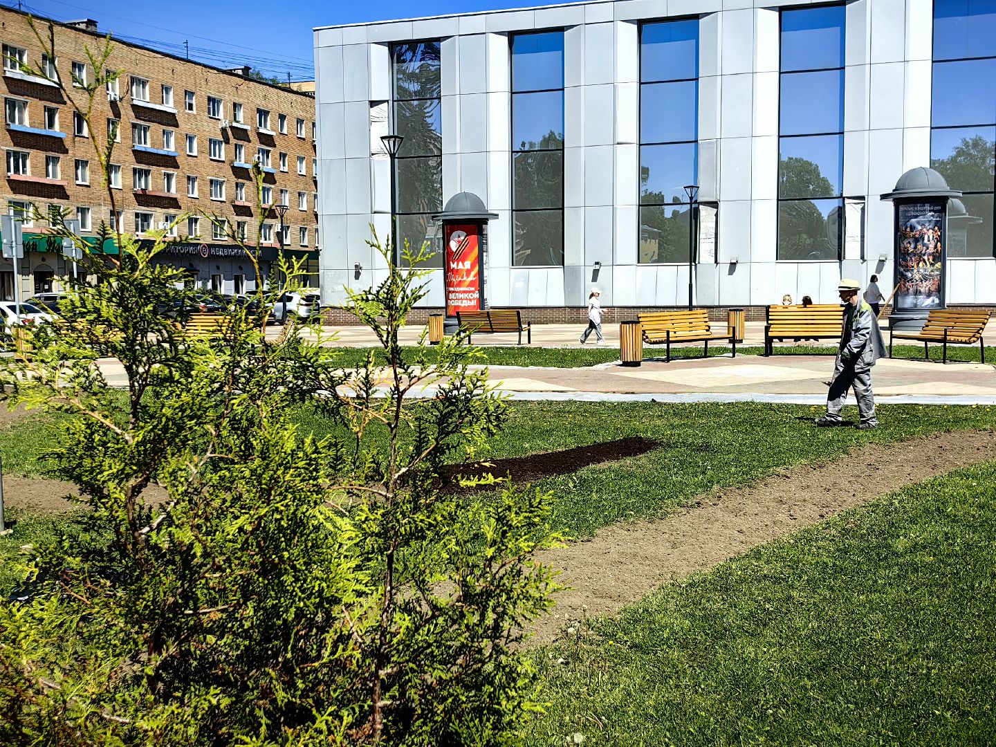 цветы Виола, посадка цветов, благоустровйство, озеленение, ландшафт,