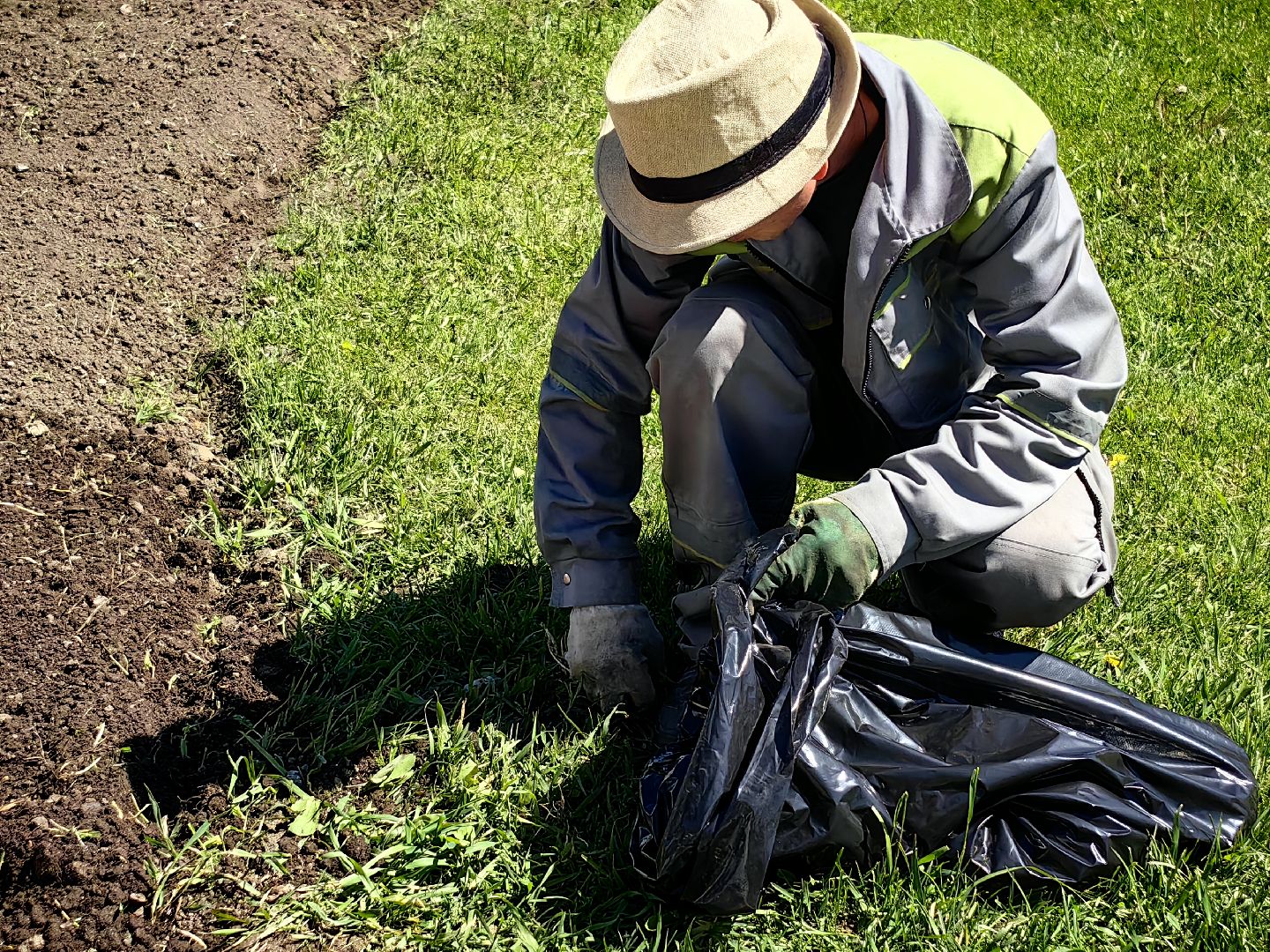 цветы Виола, посадка цветов, благоустровйство, озеленение, ландшафт,