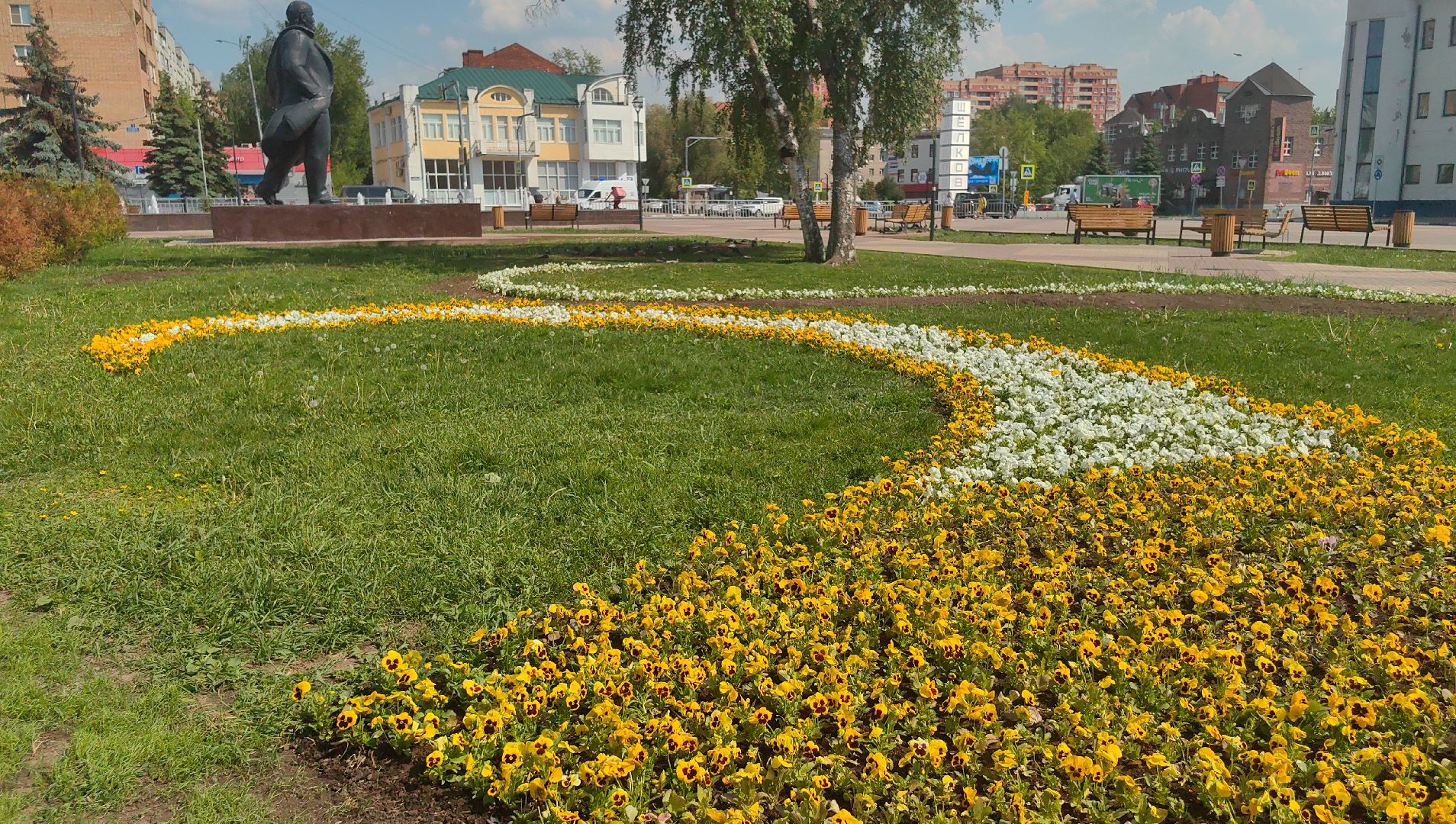 цветы Виола, посадка цветов, благоустровйство, озеленение, ландшафт,