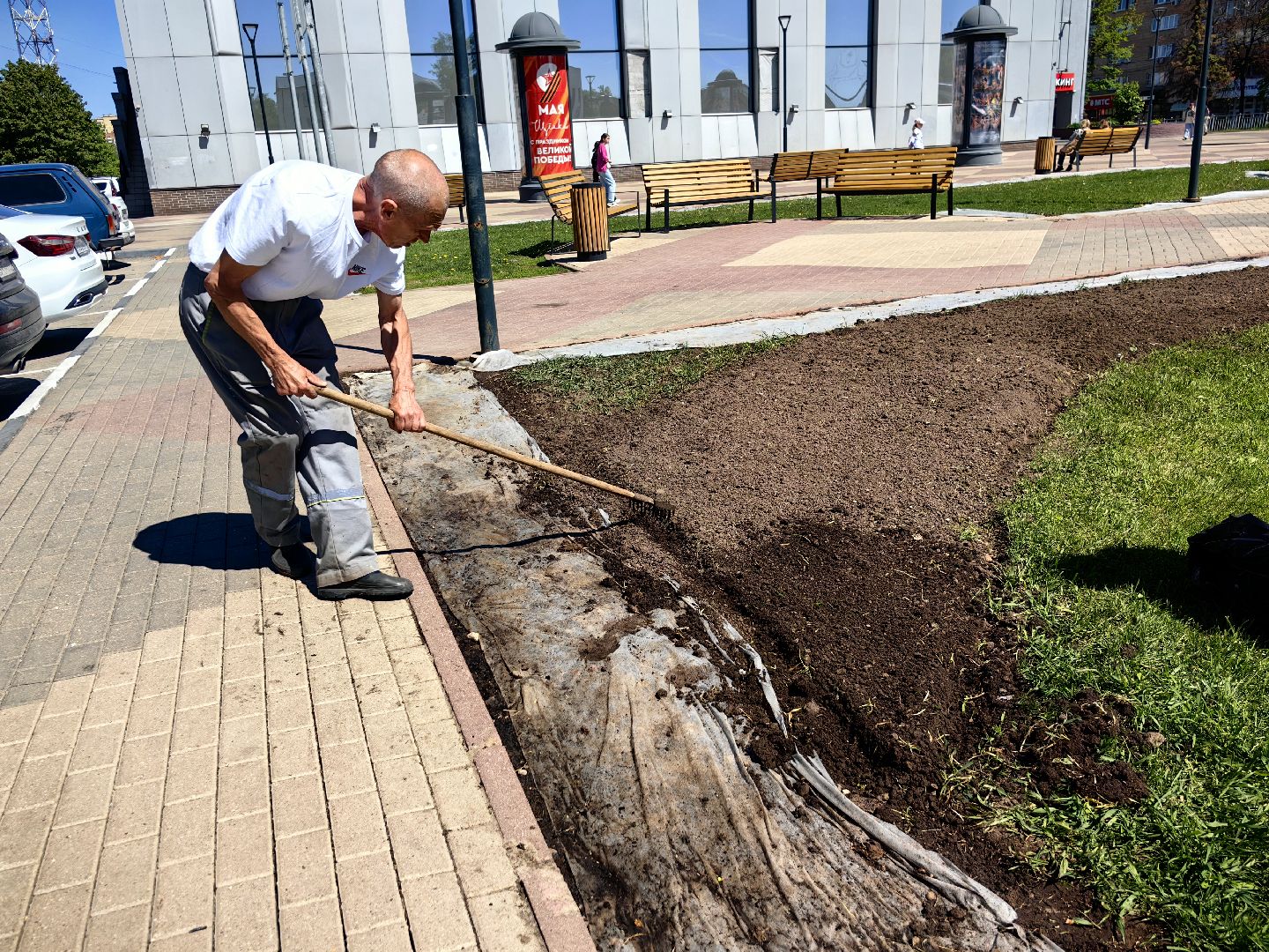 цветы Виола, посадка цветов, благоустровйство, озеленение, ландшафт,