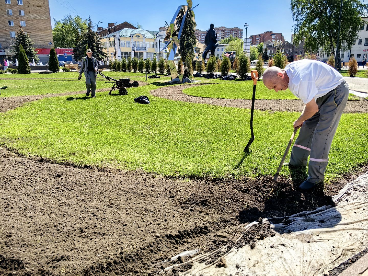 цветы Виола, посадка цветов, благоустровйство, озеленение, ландшафт,