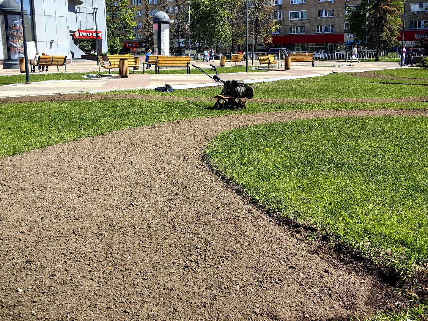 цветы Виола, посадка цветов, благоустровйство, озеленение, ландшафт,