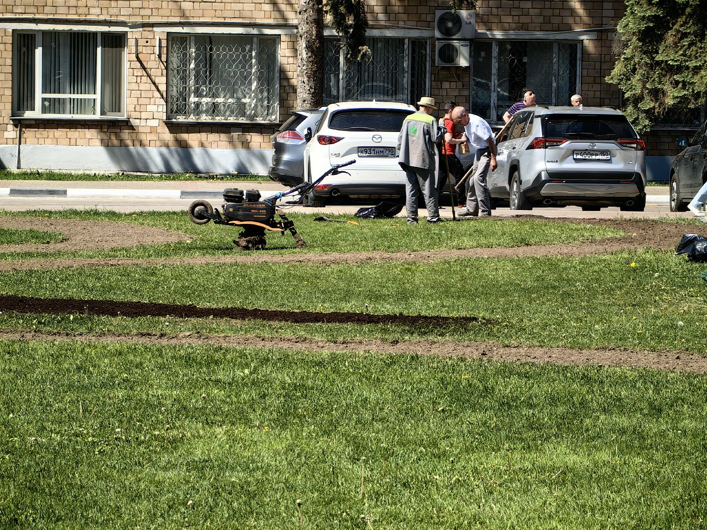 цветы Виола, посадка цветов, благоустровйство, озеленение, ландшафт,