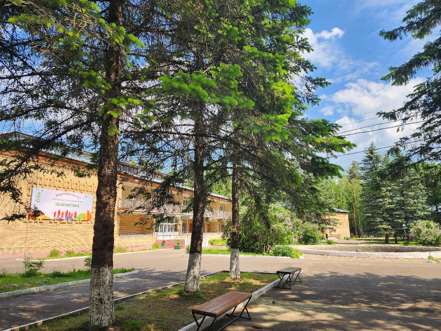 воскресенск, лагерь, детский отдых, дети,