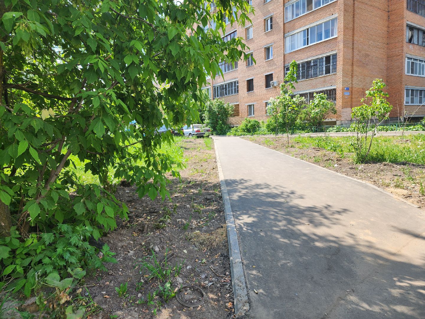 пешком, орехово-зуевский округ, благоустройство 2024, народные тропы,