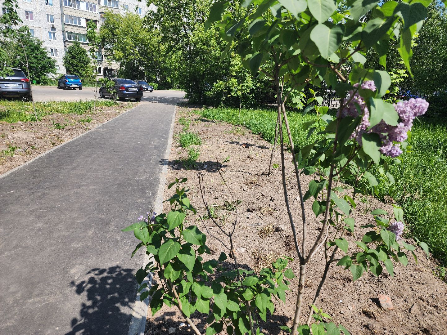 пешком, орехово-зуевский округ, благоустройство 2024, народные тропы,