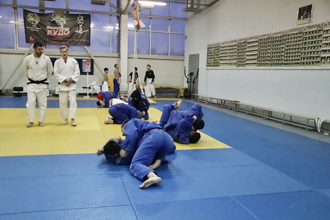 Фрязино, спорт