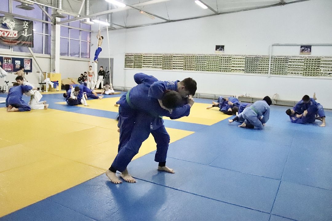 Фрязино, спорт