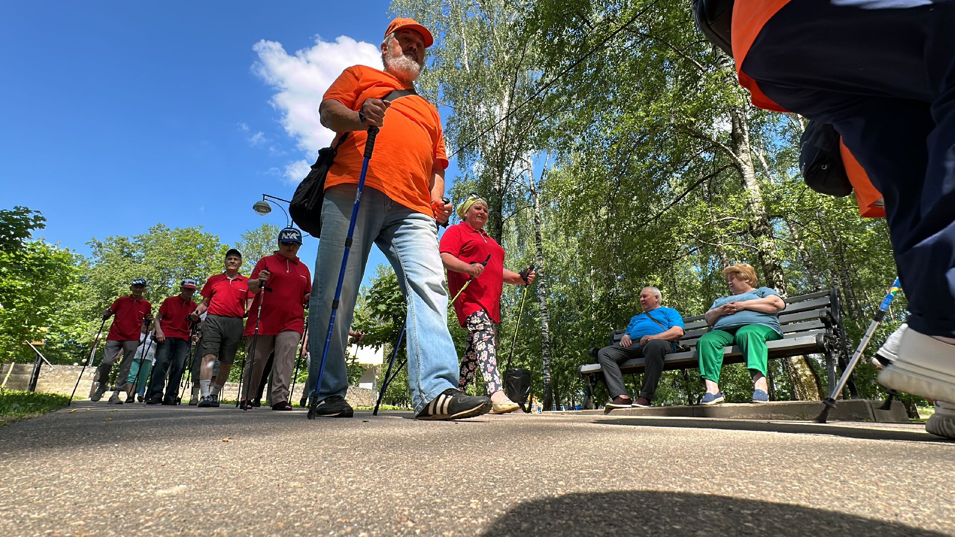 Клин, общество, спорт, активное долголетие, Подмосковье, северная ходьба,