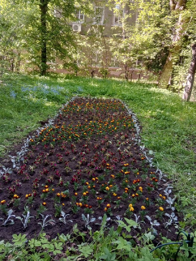 ногинск, благоустройство, цветы, высадка цветов, благосфера, жители, общество,