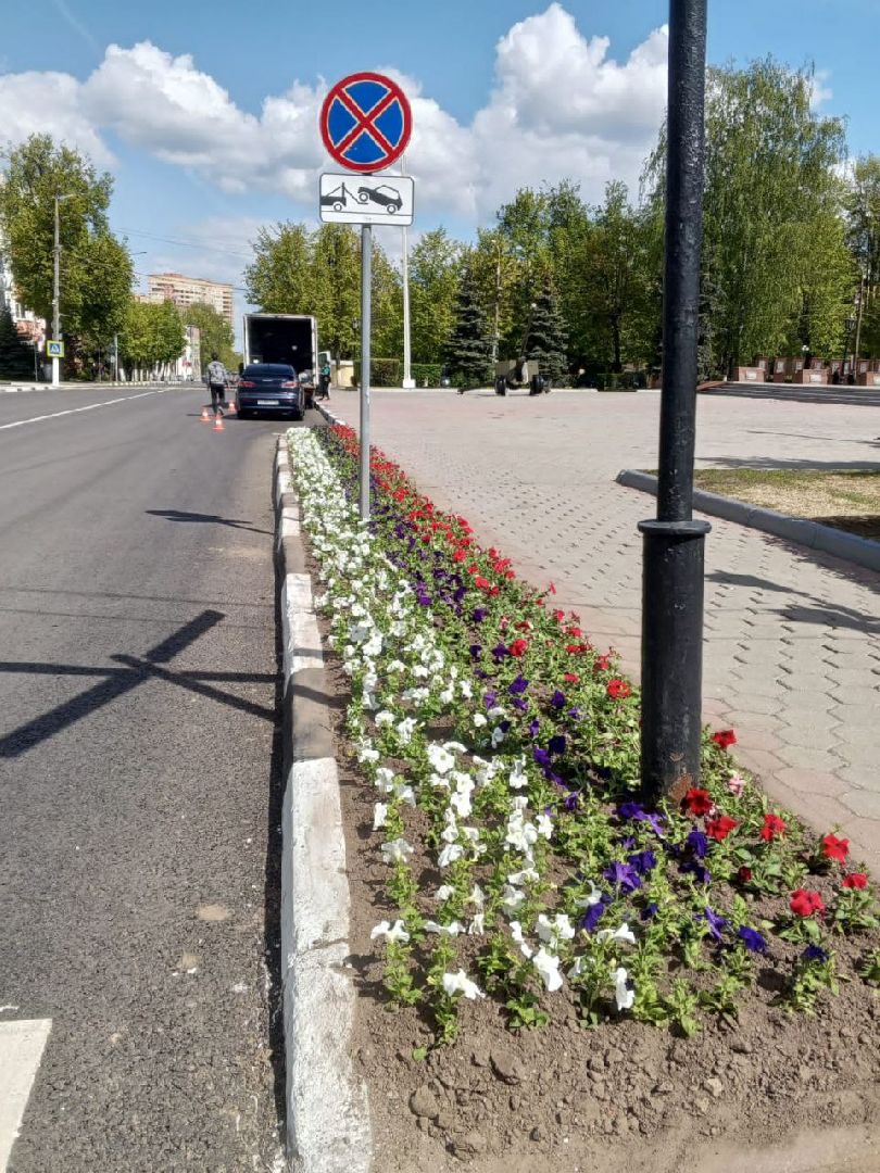 ногинск, благоустройство, цветы, высадка цветов, благосфера, жители, общество,