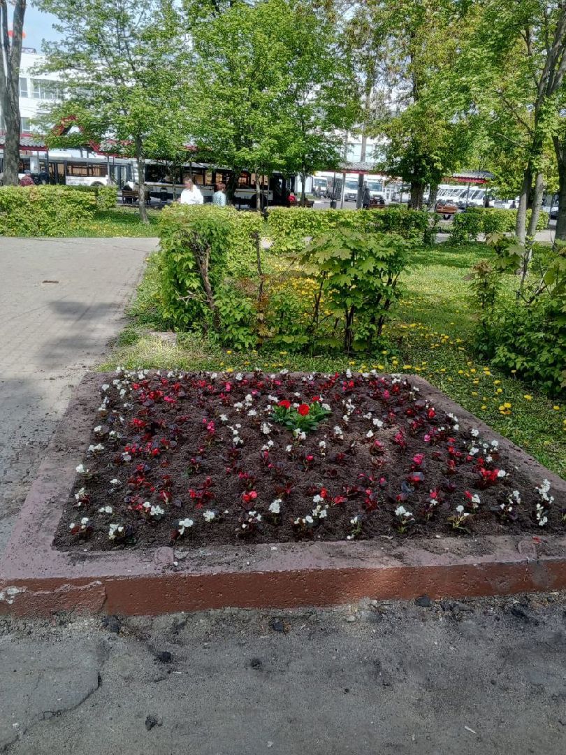 ногинск, благоустройство, цветы, высадка цветов, благосфера, жители, общество,