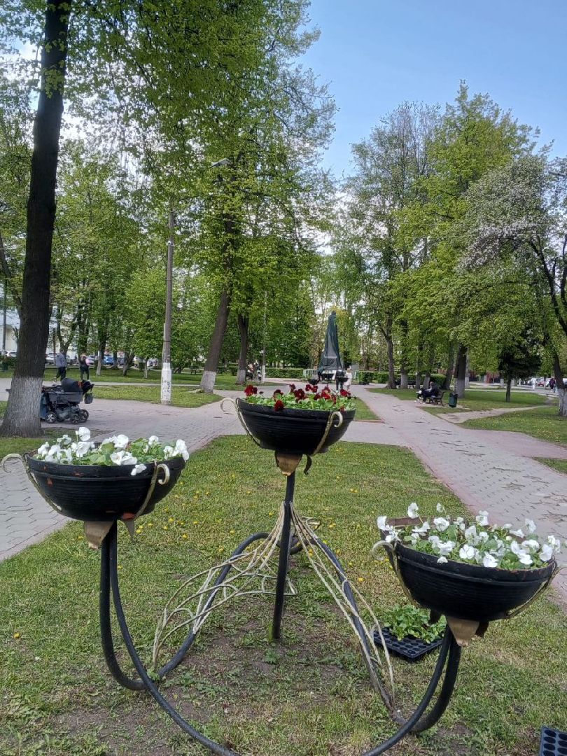 ногинск, благоустройство, цветы, высадка цветов, благосфера, жители, общество,