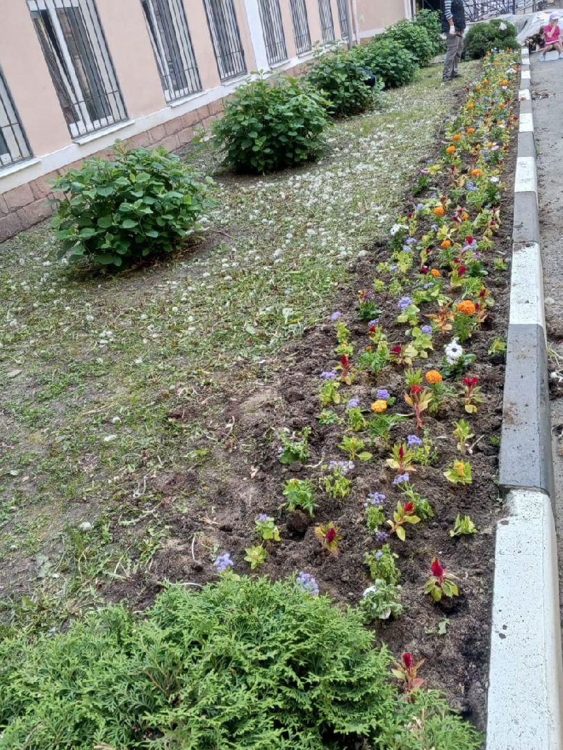 ногинск, благоустройство, цветы, высадка цветов, благосфера, жители, общество,