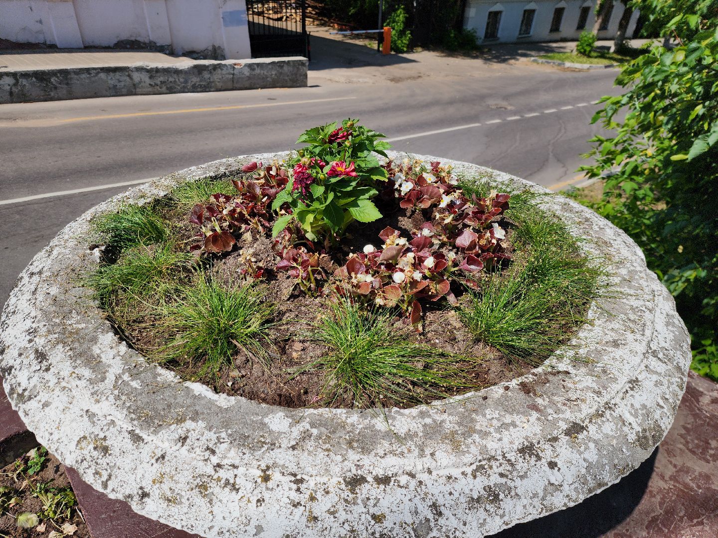 ногинск, благоустройство, цветы, высадка цветов, благосфера, жители, общество,