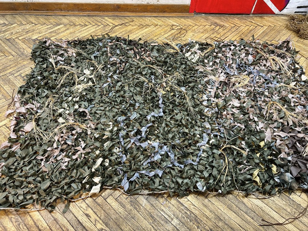 Фрязино, волонтеры