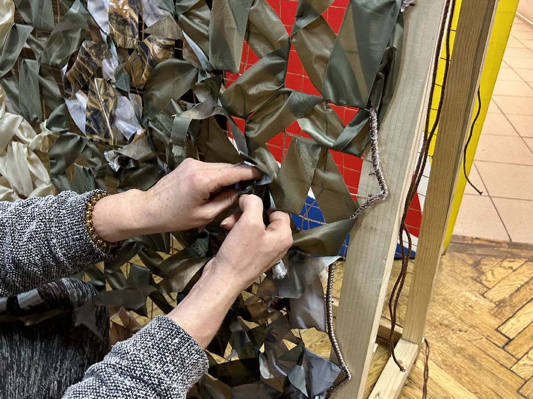 Фрязино, волонтеры