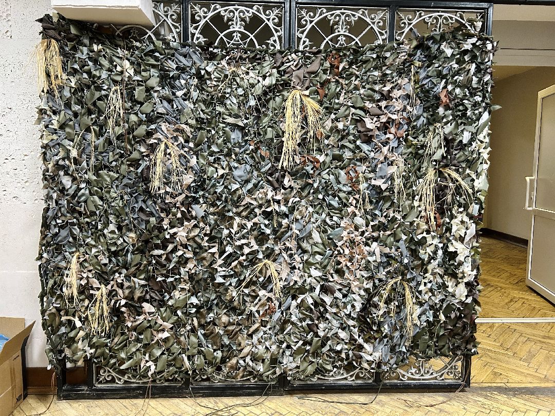 Фрязино, волонтеры