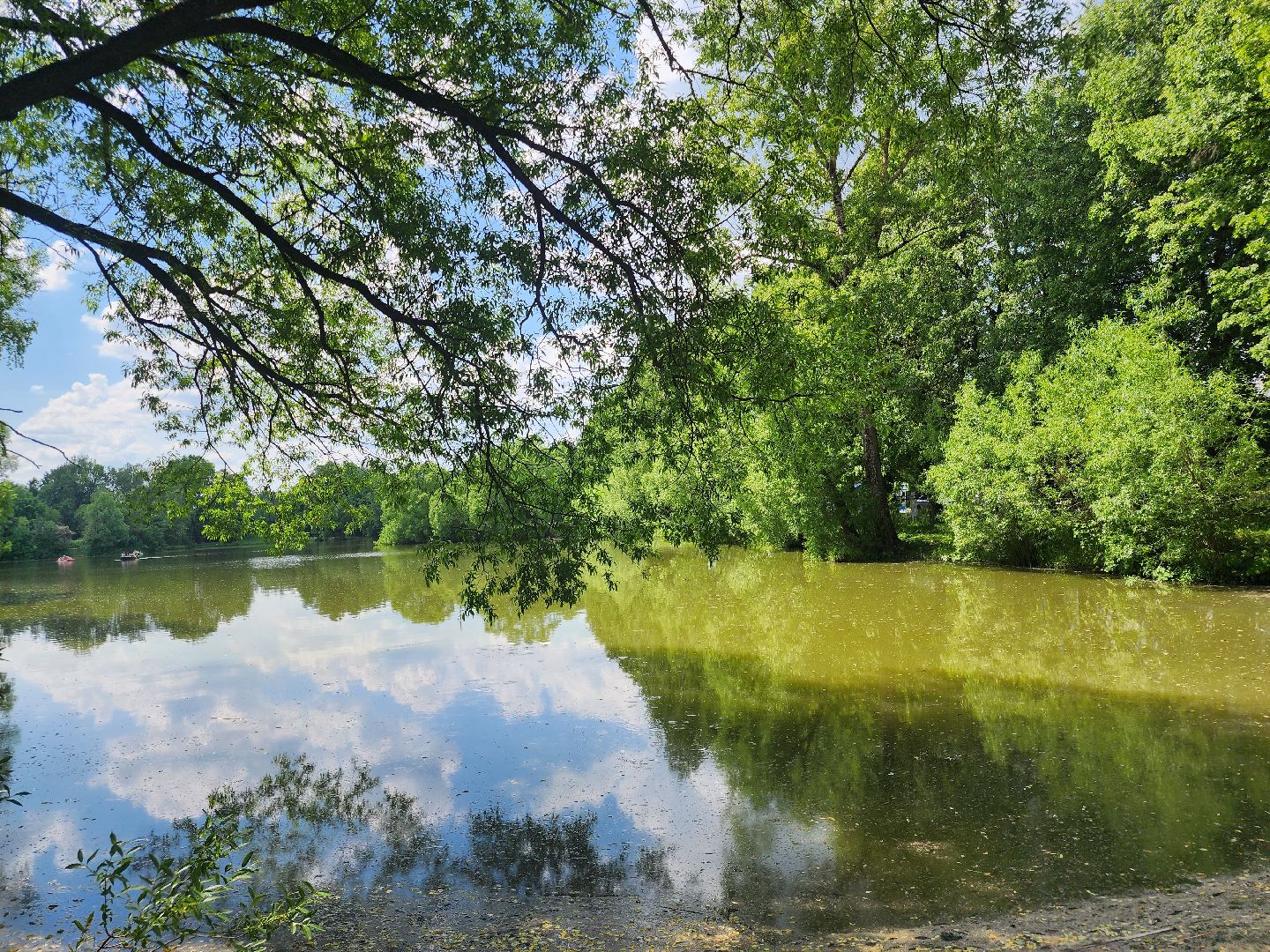Звенигород, туризм в подмосковье, Места для фотосессий,