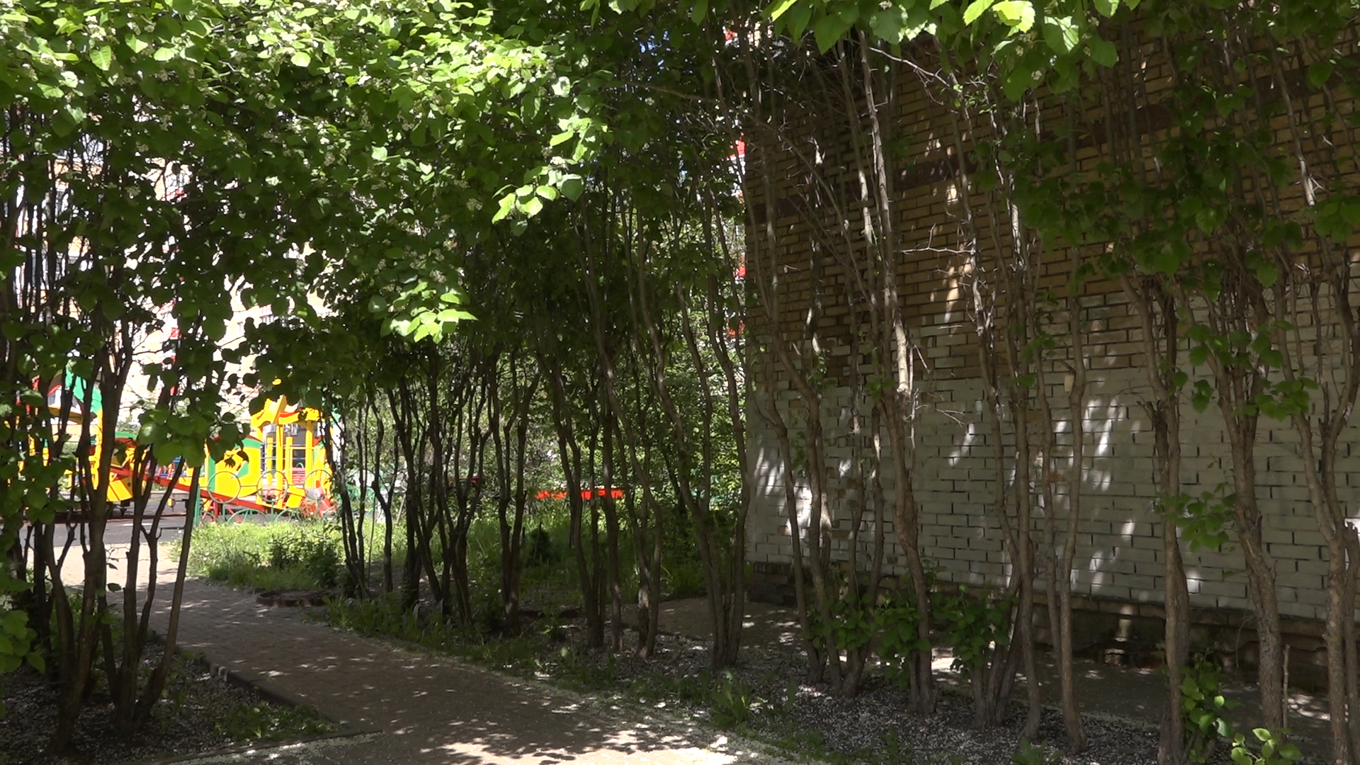 Власиха благоустройство, Власиха мкр Школьный, Власиха мкр Тополек, власиха благоустройство территории, обход территории,