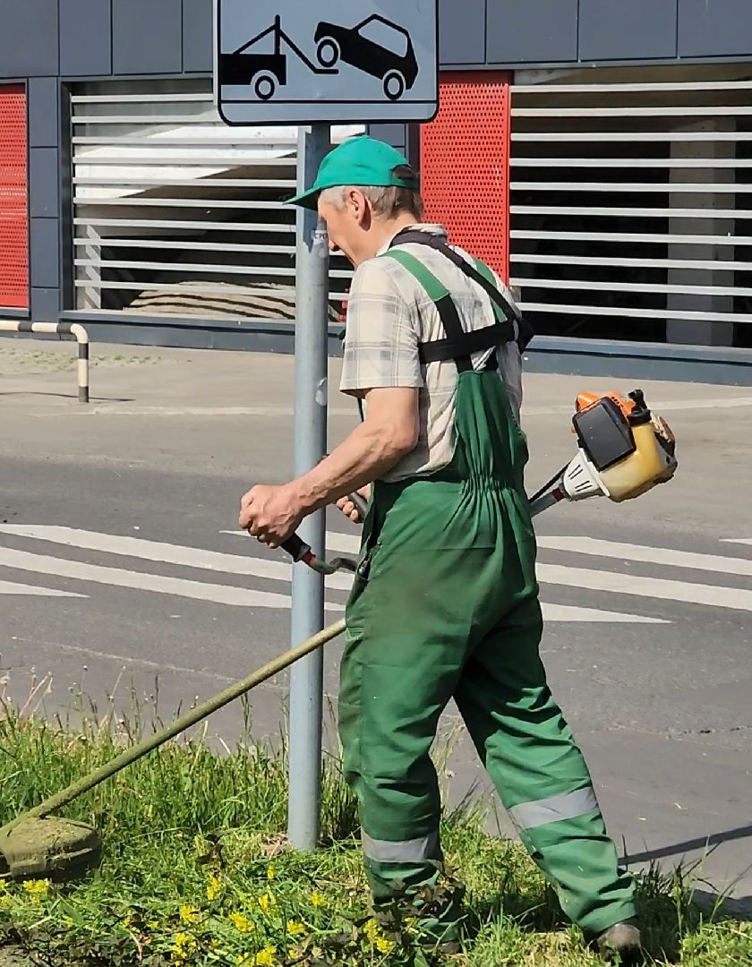 долгопрудный, покос травы,благоустройство, бульвар умберто нобиле,