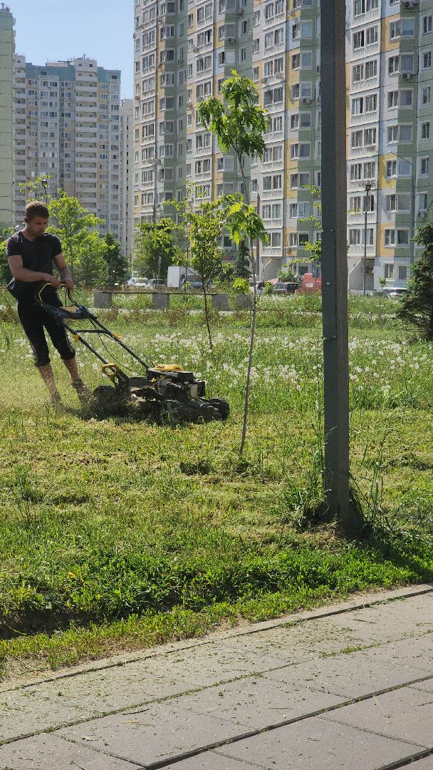 долгопрудный, покос травы,благоустройство, бульвар умберто нобиле,