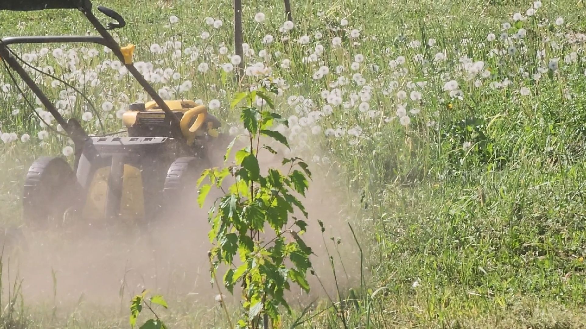 долгопрудный, покос травы,благоустройство, бульвар умберто нобиле,