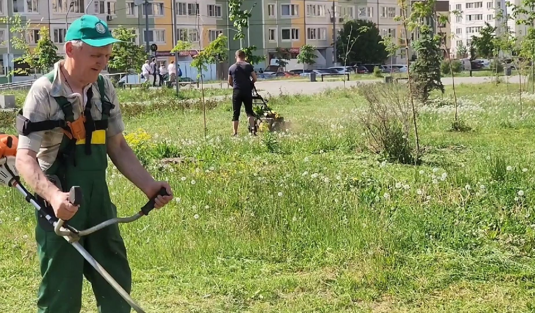 долгопрудный, покос травы,благоустройство, бульвар умберто нобиле,