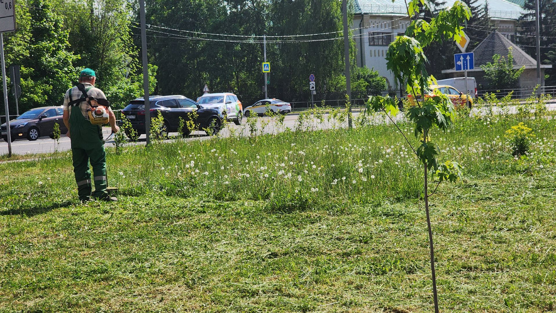 долгопрудный, покос травы,благоустройство, бульвар умберто нобиле,