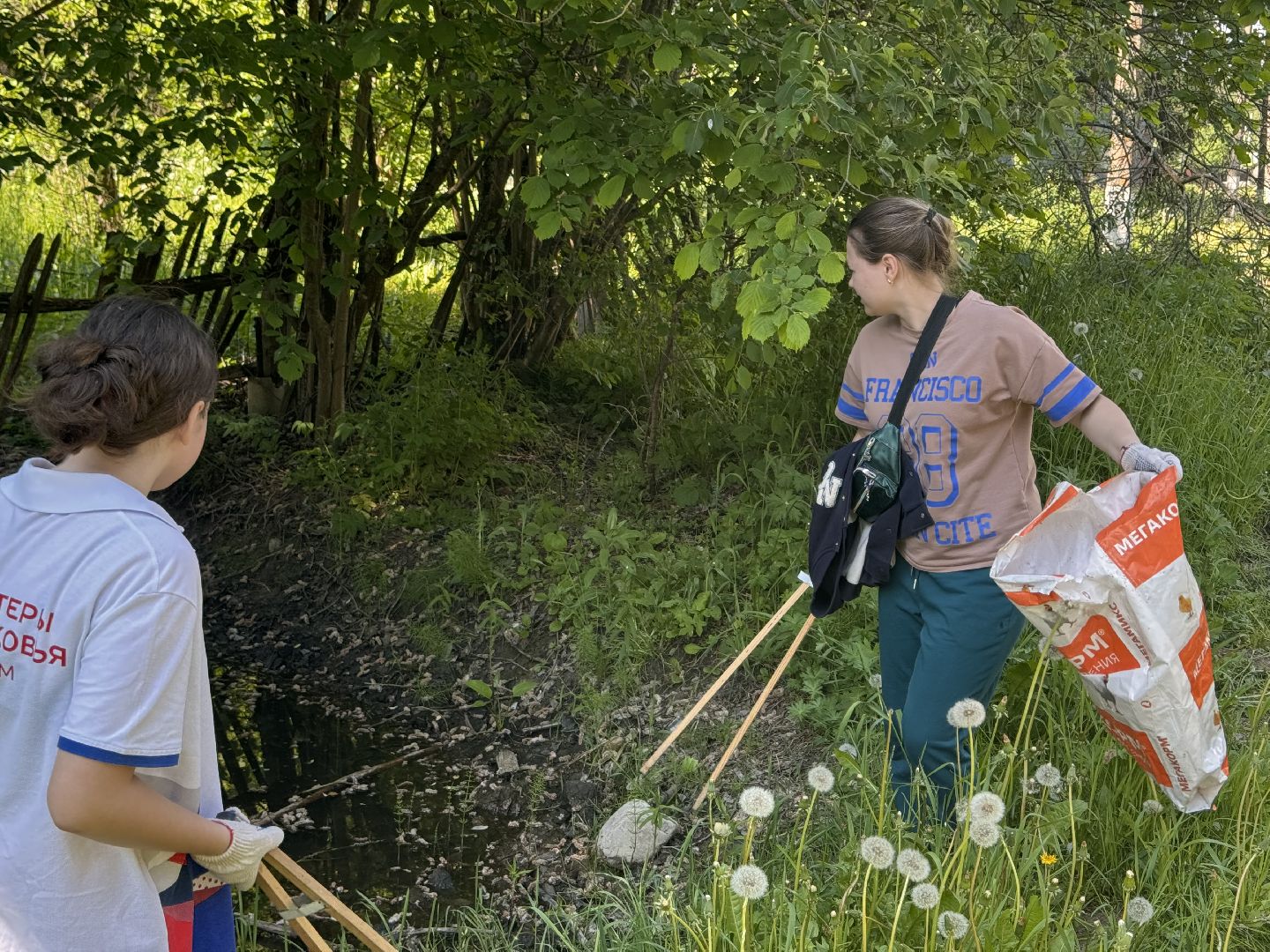 шаховская, экомарафон, волонтеры,