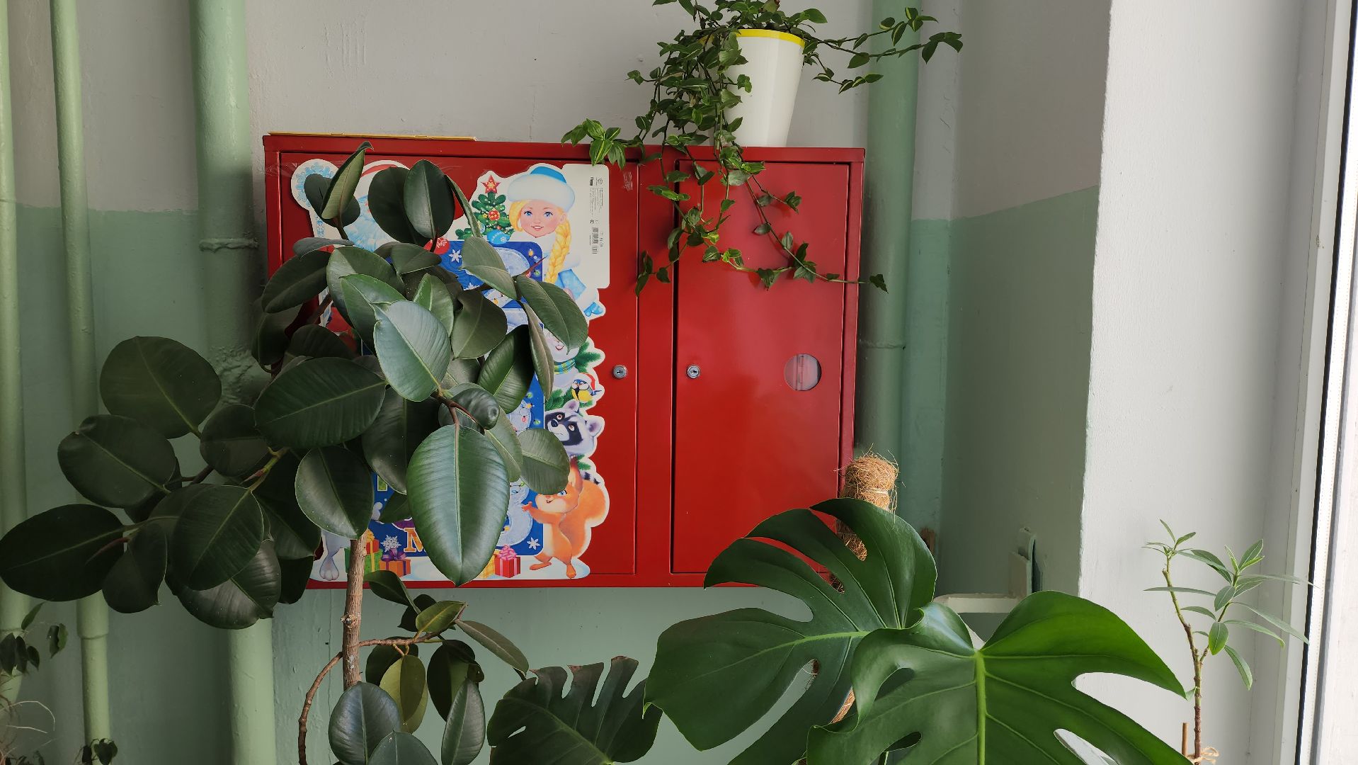 капитальный ремонт, лучший подъезд, жкх, красногорск,мой подъезд,