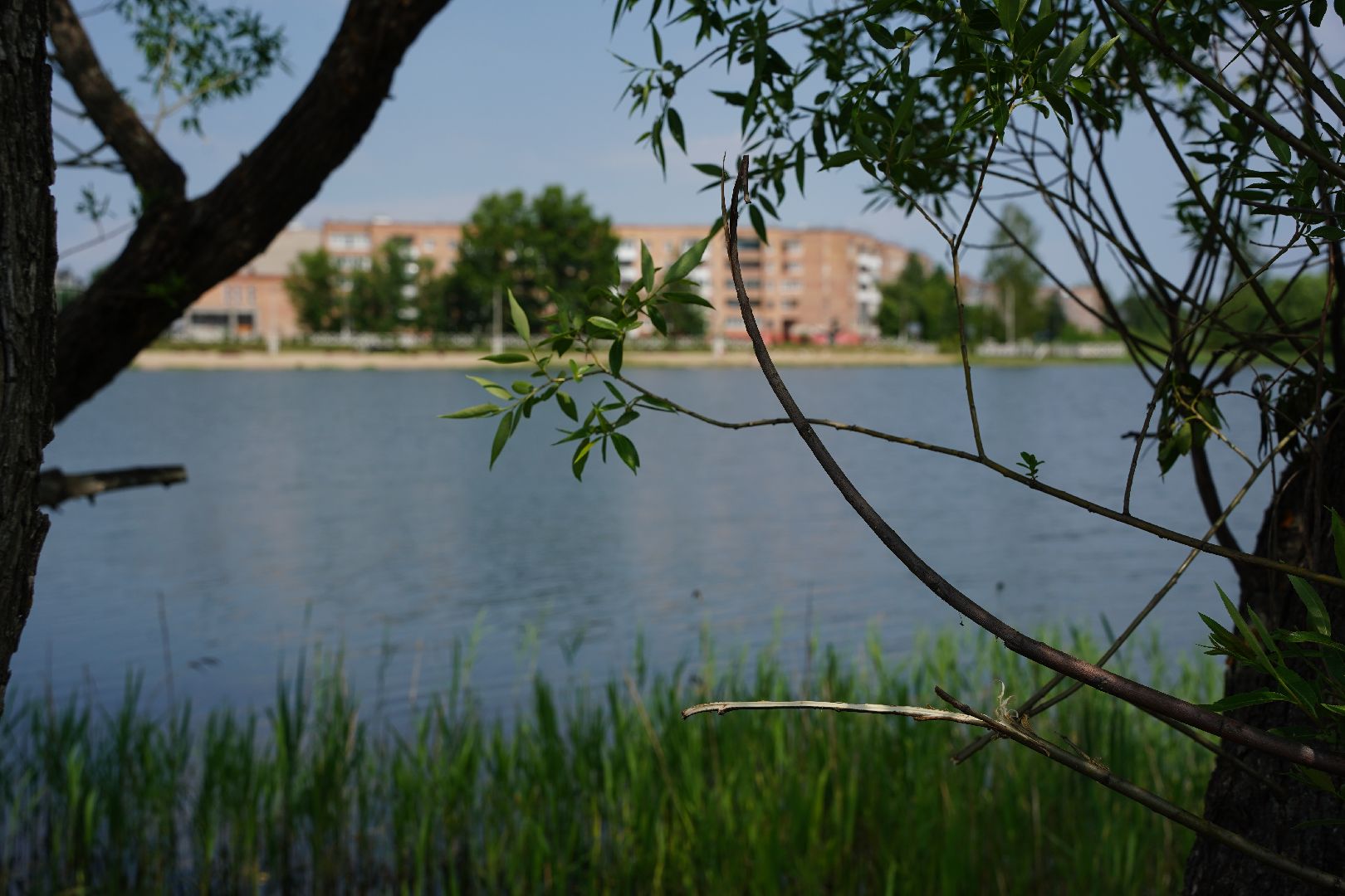 Рошаль, озеро Юбилейное, пляж, летнее кафе, Большая Шатура,