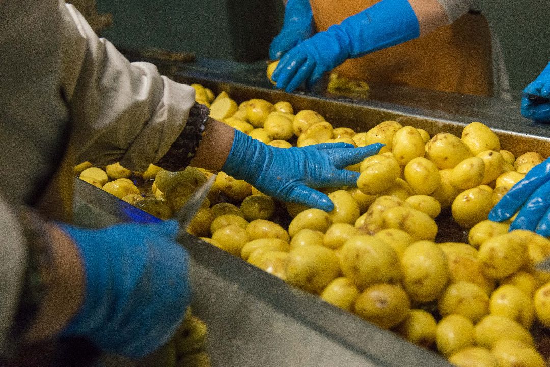 Чипсы, Барин, Коломна, Озеро