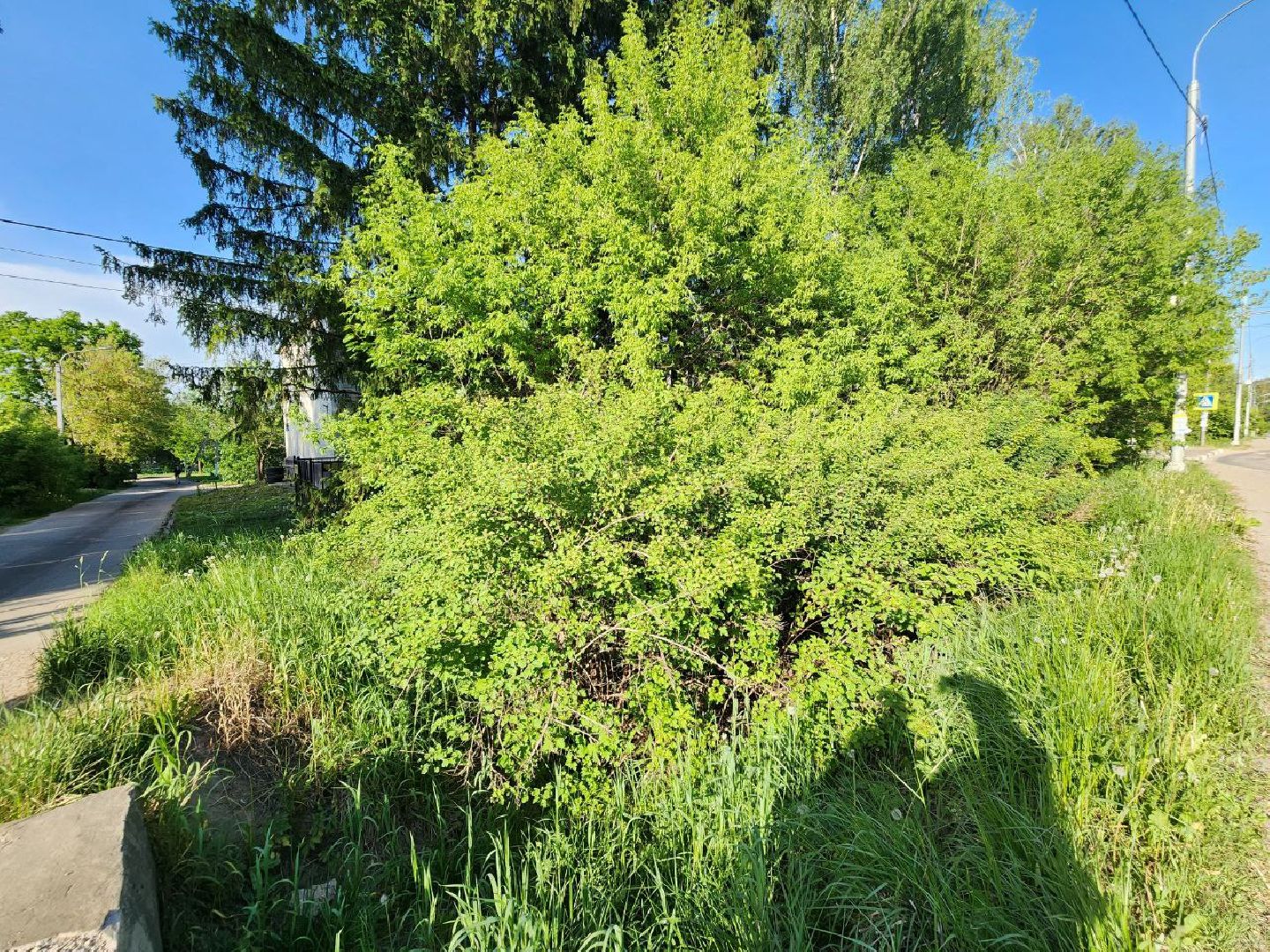 Солнечногорск, выездная администрация, вопрос, жители, Проблемы,