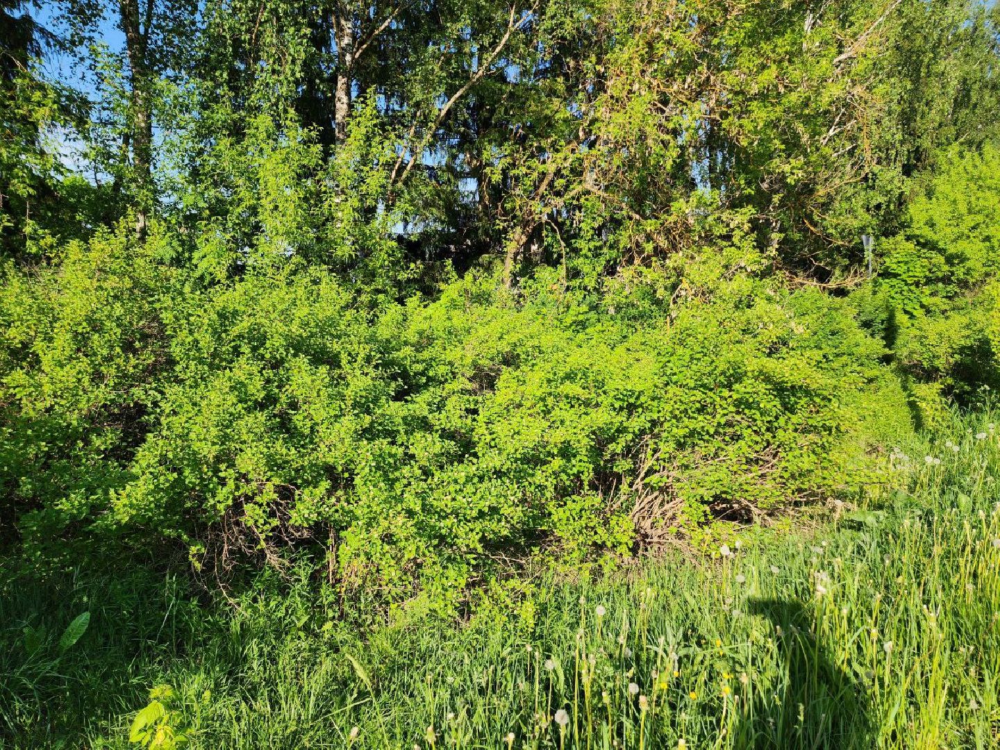 Солнечногорск, выездная администрация, вопрос, жители, Проблемы,