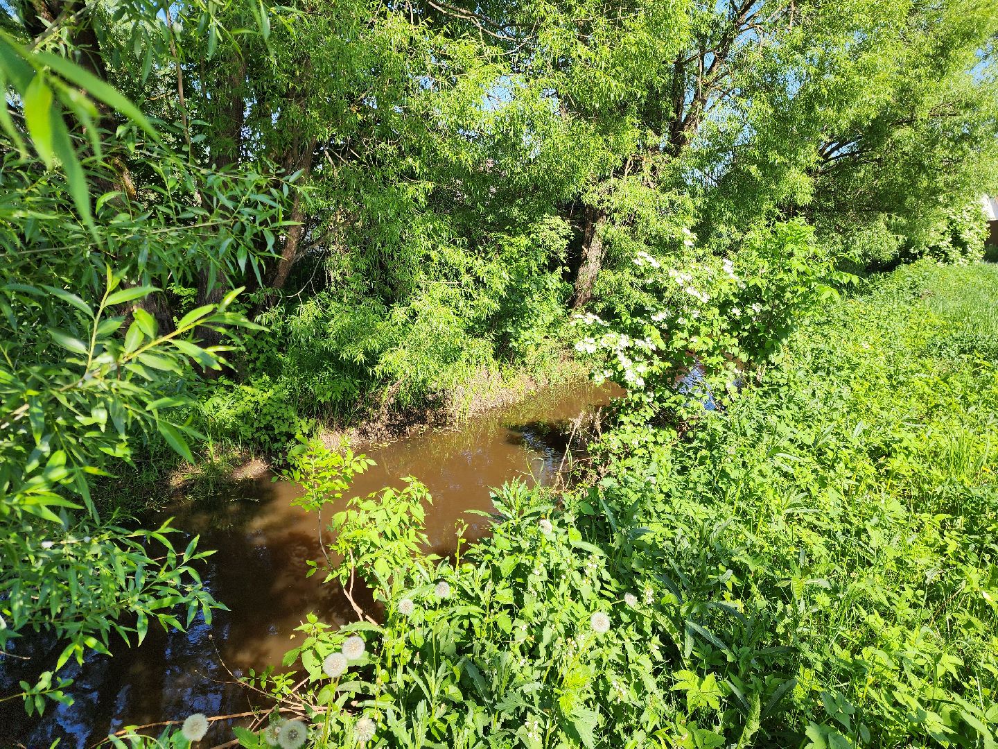 Ногинск, богородский городский округ, Общество, Жители, подтопление, Снт,