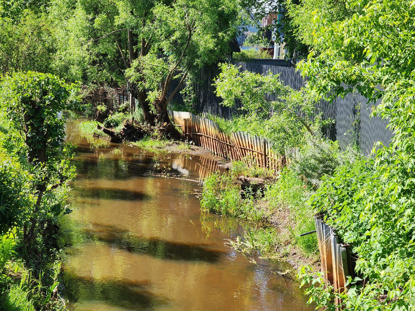Ногинск, богородский городский округ, Общество, Жители, подтопление, Снт,