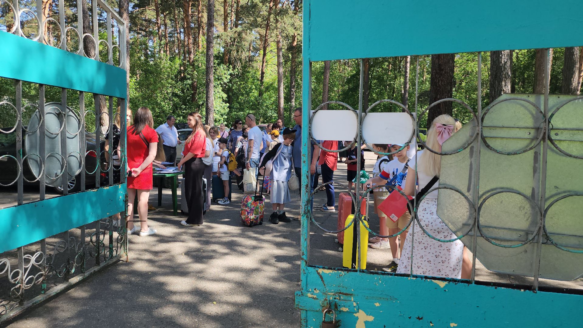 лужки, серпухов, красная гвоздика, летний лагерь, дети,