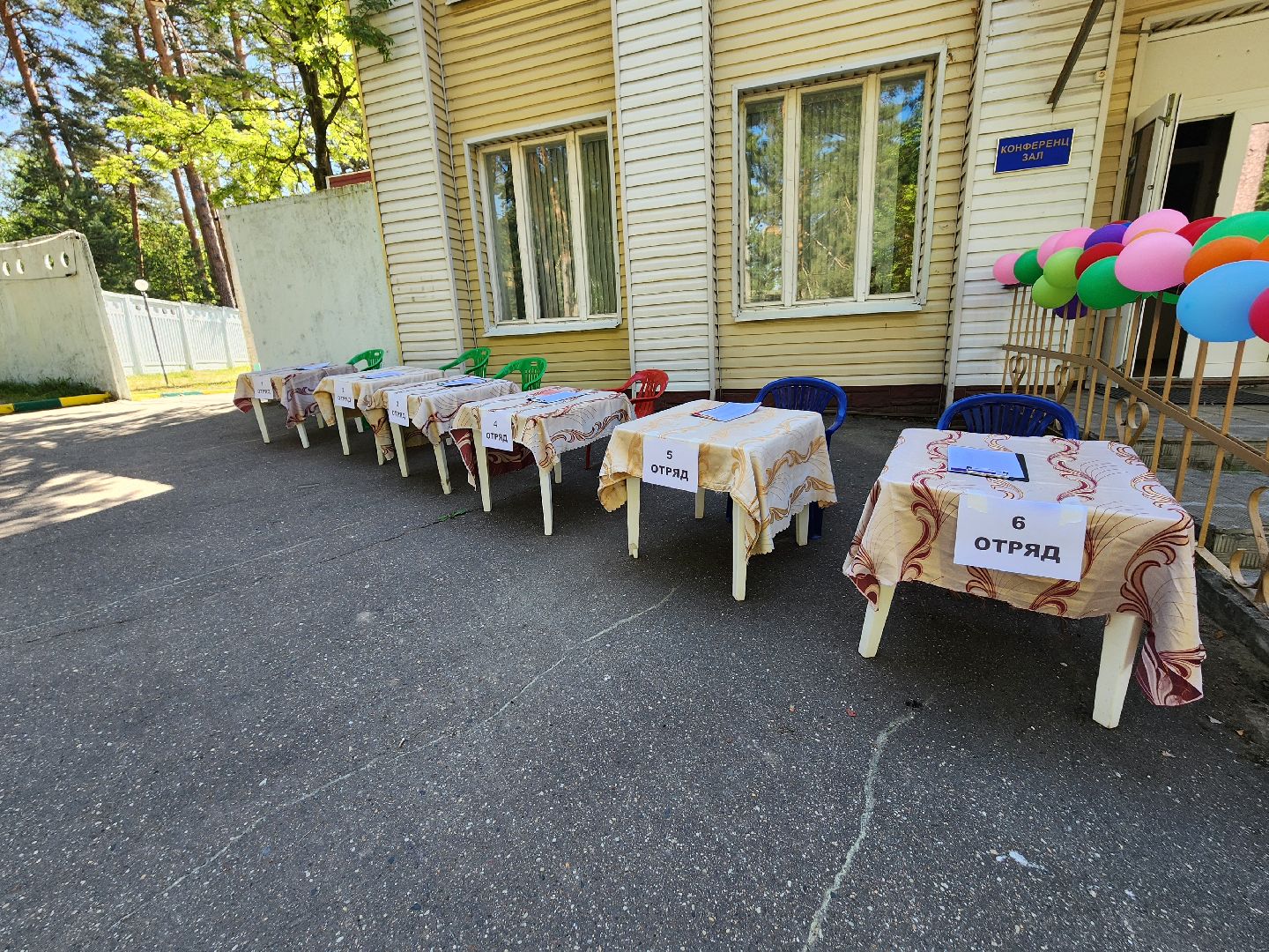 лужки, серпухов, красная гвоздика, летний лагерь, дети,