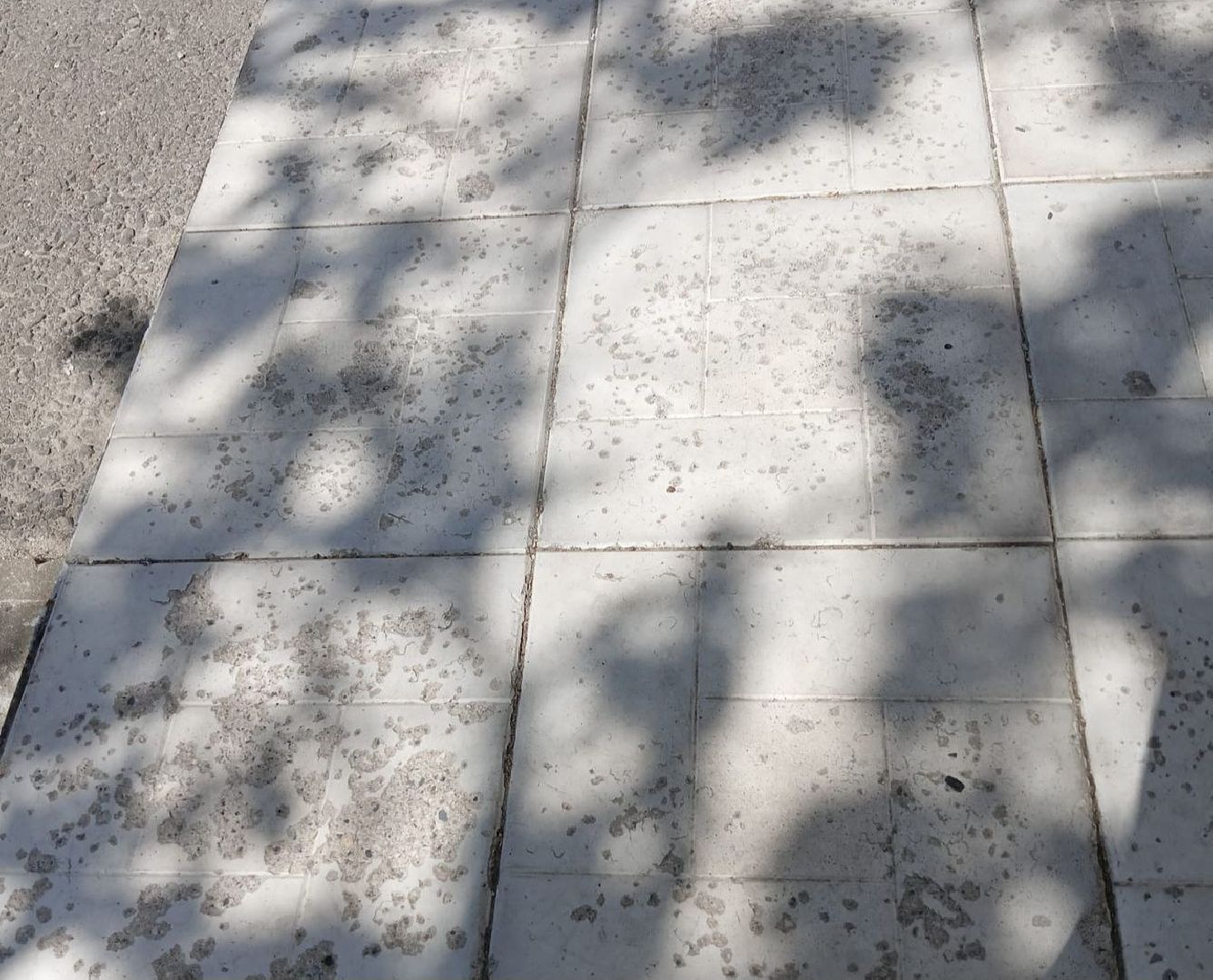 Ногинск, Ямкино, Жители, Общество, Ремонт, вода, выездная администрация, Власть,